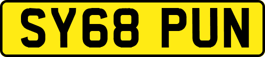 SY68PUN