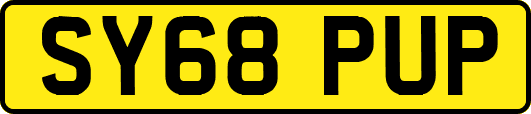 SY68PUP