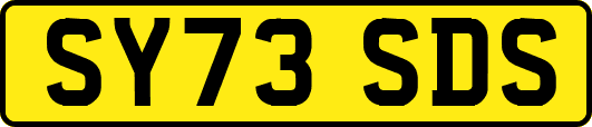 SY73SDS
