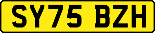 SY75BZH