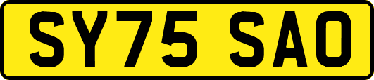SY75SAO