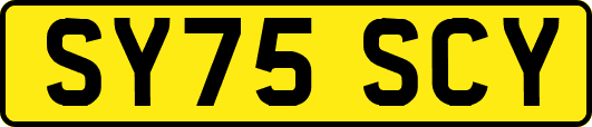 SY75SCY