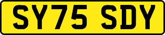 SY75SDY