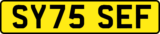 SY75SEF