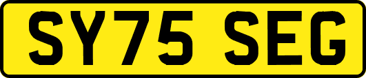 SY75SEG