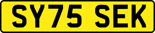 SY75SEK