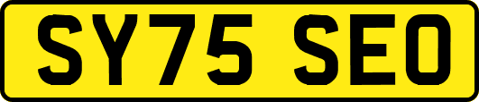 SY75SEO