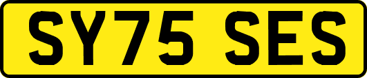 SY75SES