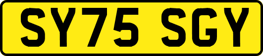 SY75SGY