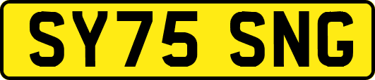 SY75SNG