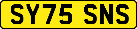 SY75SNS