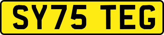 SY75TEG