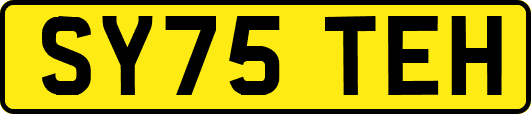 SY75TEH