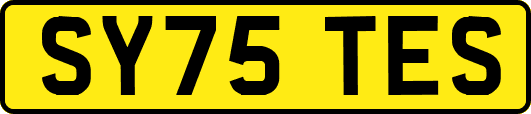 SY75TES
