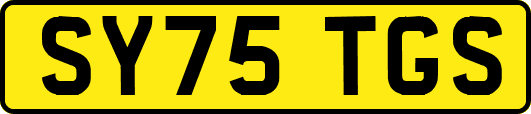 SY75TGS