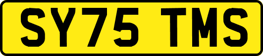 SY75TMS
