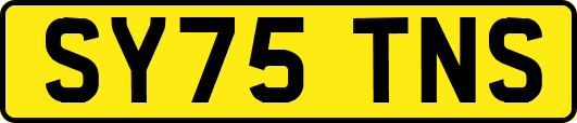 SY75TNS