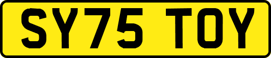 SY75TOY