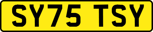 SY75TSY