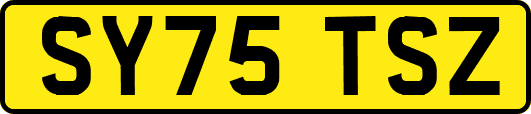 SY75TSZ