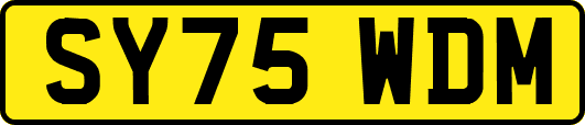 SY75WDM