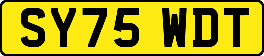 SY75WDT