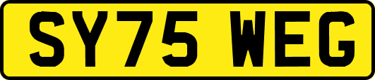 SY75WEG
