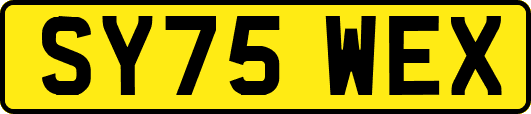 SY75WEX