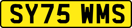 SY75WMS