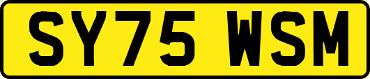 SY75WSM