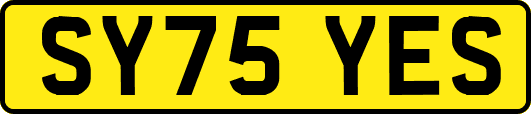 SY75YES