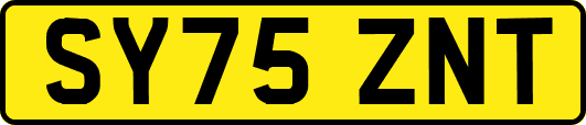 SY75ZNT