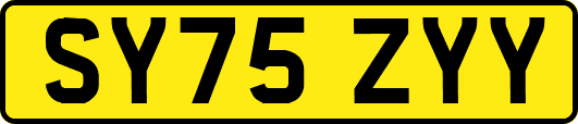 SY75ZYY