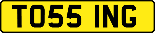 T055ING