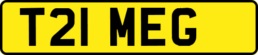 T21MEG