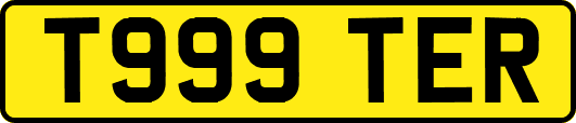 T999TER