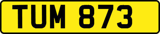 TUM873