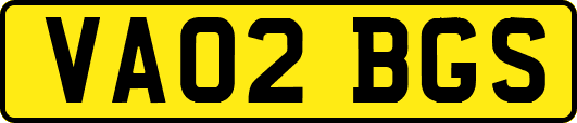 VA02BGS