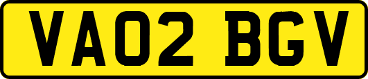 VA02BGV