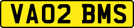 VA02BMS