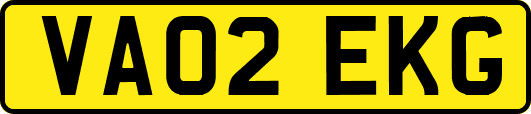 VA02EKG