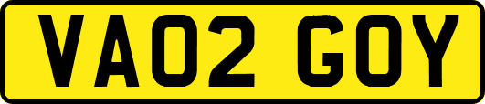 VA02GOY