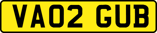VA02GUB