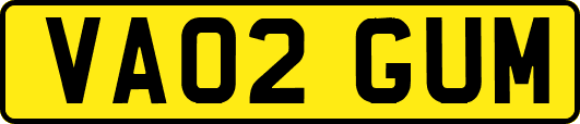 VA02GUM