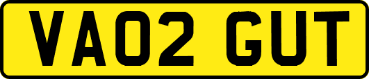 VA02GUT