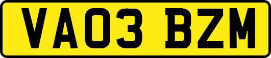 VA03BZM