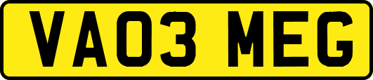 VA03MEG