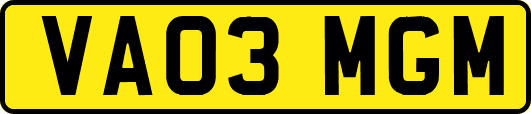 VA03MGM