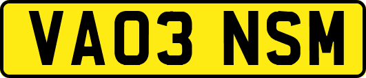 VA03NSM