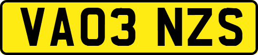 VA03NZS